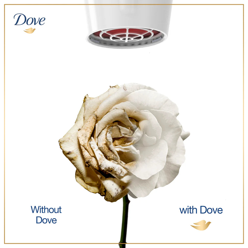 Dove Shampoo Intense Repair - 650Ml